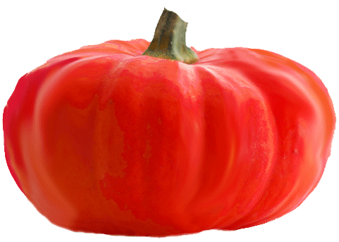 web-pumpkin-4.7275450